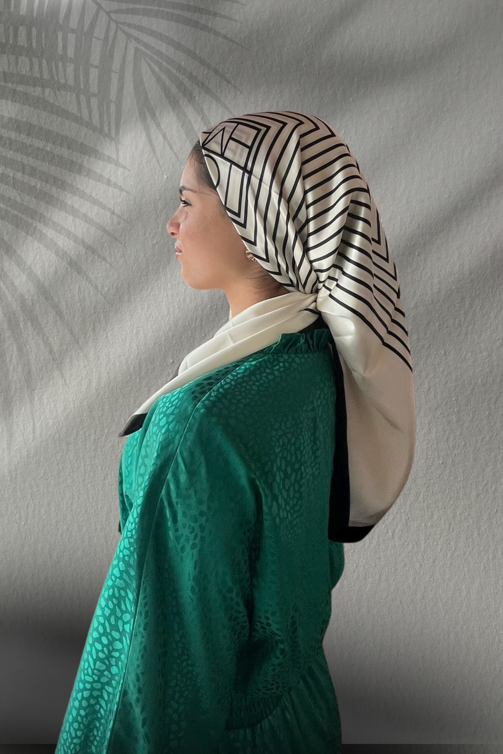 DT Silk Collection-Beige with Black Stripes