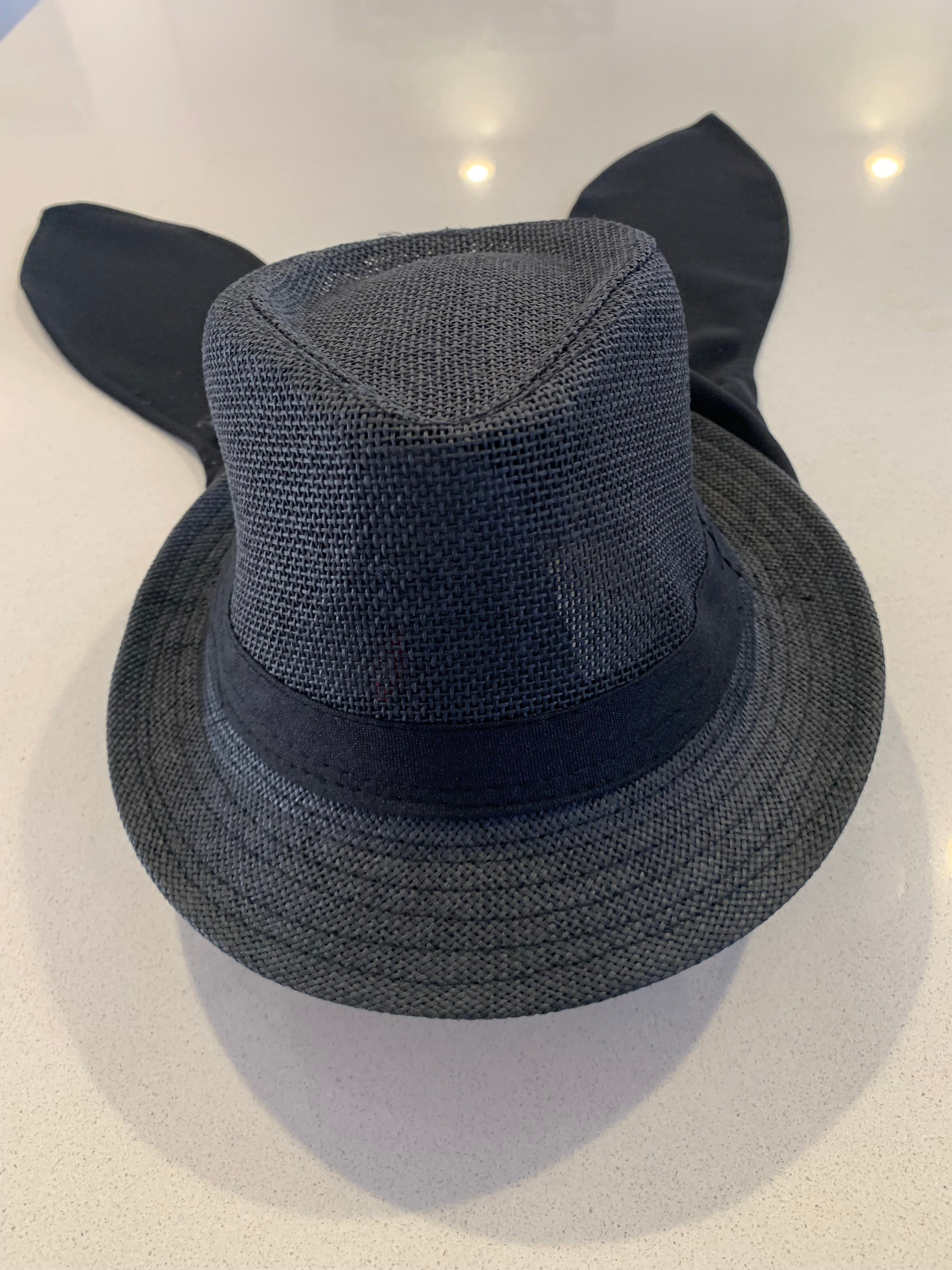 Full Coverage Fedora- Black